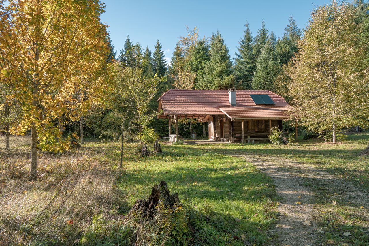 Rustic cabin amidst vibrant autumn foliage on a dirt path.